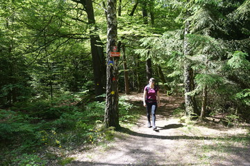 Wandern am Keimskreuz im Pfälzerwald