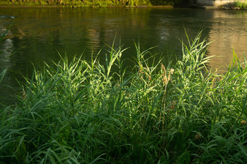 Canneto sul fiume
