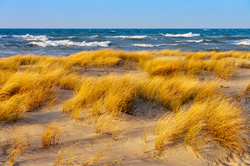 Sunny autumn day on the Baltic sea. Sandy beach, dunes and yellow grass.