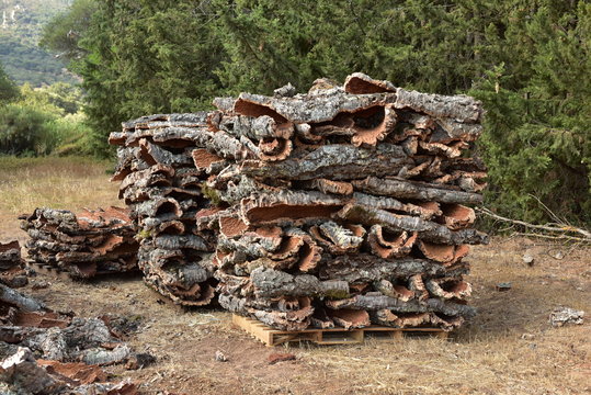 Oficios artesanales en el parque natural de los Alcornocales
