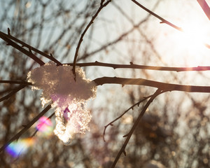 winter cold weather and sun reflections