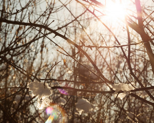 winter cold weather and sun reflections