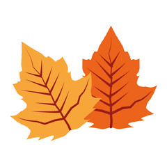 autumn leaf plant seasonal icon