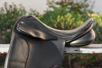 Black english style traditional dressage saddle on a bench outside near green plants and yellow...
