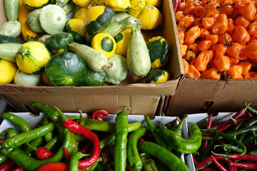 A Variety of Peppers and Gourds for Sale at a Farmers Market