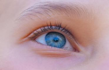 The blue eye of a girl who looks up with interest_