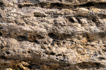 Stone texture. Cellular dolomite large solid