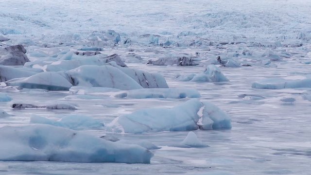 Wide, floating glacial ice in Iceland