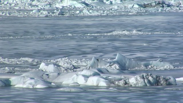 Floating icebergs in Iceland, high angle