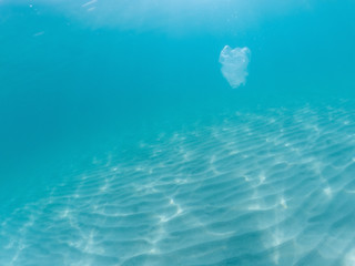 Plastic bag floating in the ocean, underwater waste. Ocean pollution concept. Global environmental problem. Copy space.