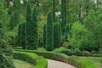 pavement path among green ornamental vegetation and conifers in the park