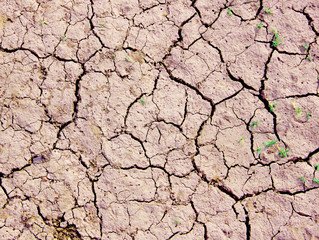 Cracks in dry soil during drought.