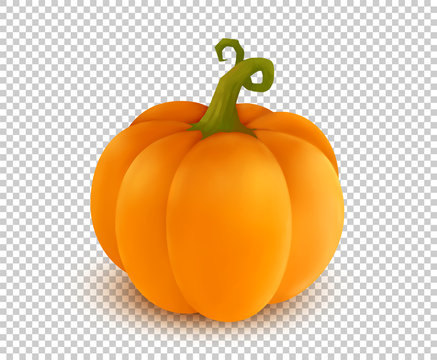 Vector realistic orange pumpkin in cartoon style on transparency grid imitation background