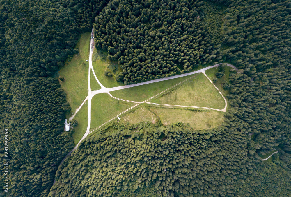 Canvas Prints Vertical aerial view of spruce and fir forest (trees) and meadow, Slovenia.