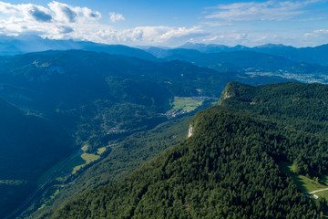 Naklejka premium Vertical aerial view of spruce and fir forest (trees) and meadow, Slovenia.