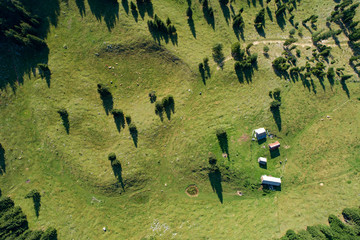 Vertical aerial view of spruce and fir forest (trees) and meadow, Slovenia.