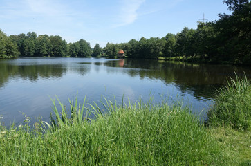 Aueweiher bei Fulda