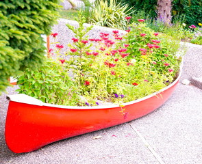 Flowers in red canoe
