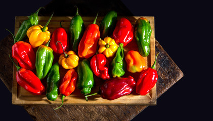 Colorful chili peppers on a cutting board, the overhead shot of this species that is sweet in taste, very common in South America.