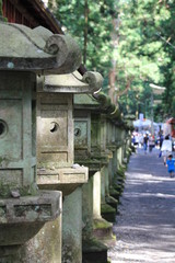 Allée japonaise à Nikko
