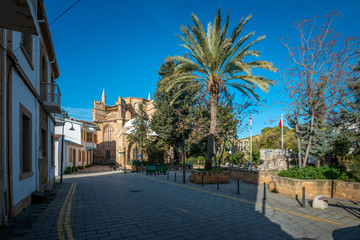 Fototapeta na wymiar Street with palm in nicosia