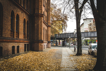 Street in Berlin in autumn.  Autumn street in Berlin with yellow and orange fallen leaves. Autumn cityscape in Berlin. travel and tourism in Berlin concept.