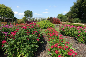 Colorful Plant Beds and Blooming Flowers in a public Raleigh, North Carolina Garden