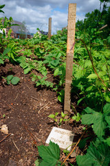 Grenzpunkt eines Flurstuecks