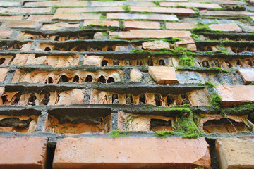 Old brick wall with destroyed brick. The inside of the brick, holes in the brick. Moss on the seams of the brickwork.