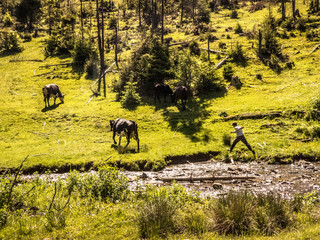 Libuchora - Chłopiec pasący krowy. Bieszczady Wschodnie - Ukraina. © Igor