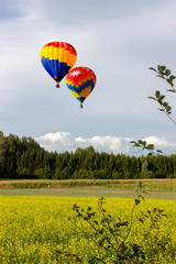 Romantic balloon flights high above the ground.