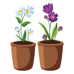 patch of houseplant in pot
