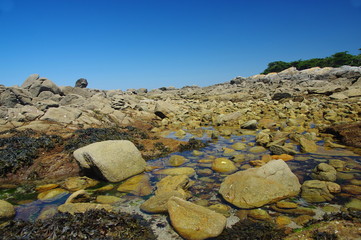 cote sauvage du croisic