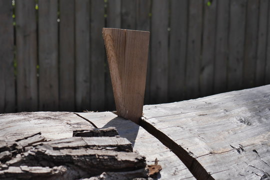 The Wedge Is Hammered Into A Cut Of A Tree.