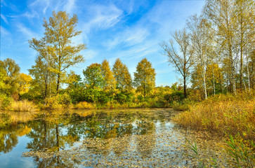 Golden autumn on the bank of forest lake