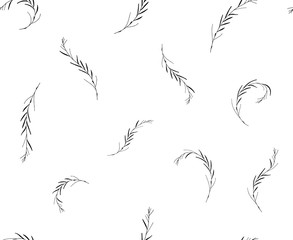 Vector seamless botanical pattern with hand drawn herbs isolated on white background. Endless texture. Wrapping paper,textile fabric print. Cover for planner, notebook. Black and white
