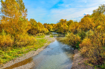 Obraz premium Idyllic bright multicolored autumn landscape with little fast forest river