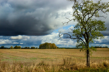 Clouds in the sky before the rain.