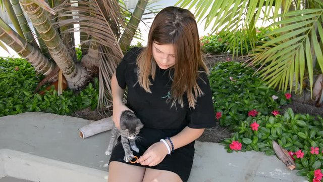 Cat laying in the arms of teengirl. Teengirl in black shirt standing by a street holding a cat snuggled in her arms like a baby.
