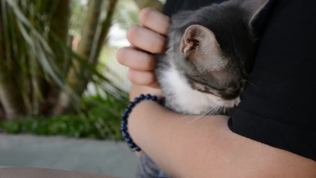 Cat laying in the arms of teengirl. Teengirl in black shirt standing by a street holding a cat snuggled in her arms like a baby.
