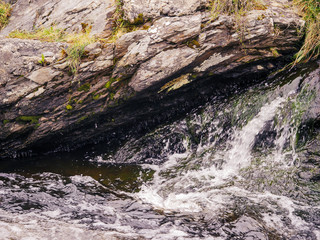 Vegetation grows on a stone bank of a stream, Rock texture, Selective focus.