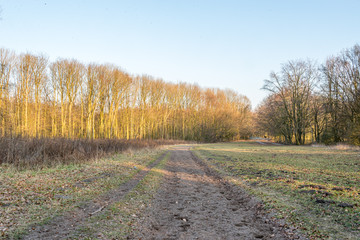 autumn scene with red yellow brown and orange colors the change of seasons