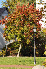 Autumn landscape of the city Park of Kaliningrad, Russian Federation.