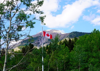 Canadian Rockies with Flag