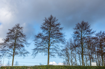 autumn scene with red yellow brown and orange colors the change of seasons