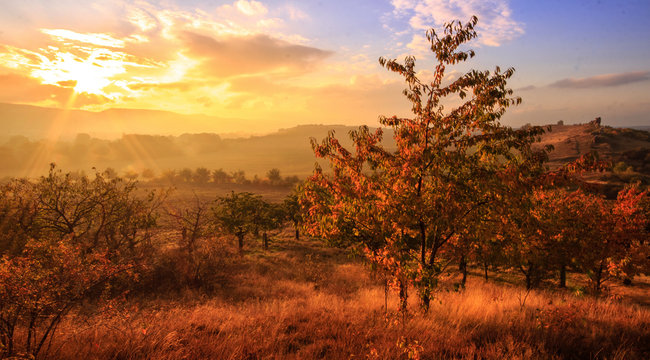 Goldene Stunde an der Teufelsmauer im Herbst (nahe Weddersleben) / Golden light at devil's wall near Weddersleben