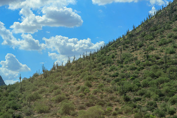 Obraz premium Western World