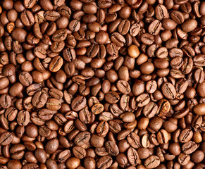 coffee bean brown roasted caffeine espresso seed