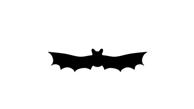 An animated bat is flying. Looped animation. Alpha channel