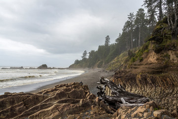 Fototapeta premium Pacific Coast at the Olympic National Park 01